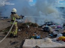 Чотири гектари землі вигоріло на Вінниччині