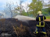 В екосистемах Вінниччині стрімко збільшилась кількість пожеж