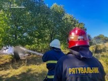 На Вінниччині сталося 13 пожеж в екосистемах