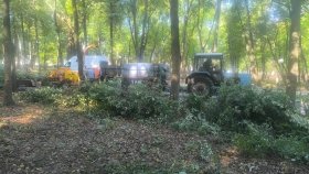 У Вінниці інспектори муніципальної варти долучились до генерального прибирання міста
