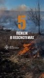 На Вінниччині сталося п‘ять пожеж в екосистемах