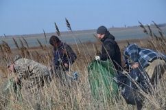 Рыбaки собрaли 200 мешков мусорa нa берегу Тилигульского лимaнa