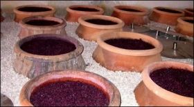 На Шабской винодельческой фирме наладят выпуск нового сорта вина