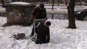 Одесситы спасли бездомную собаку