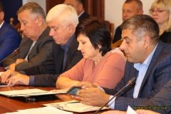 Понад 2 тисячі гектарів посівів сільськогосподарських культур постраждало внаслідок стихії на Вінниччині