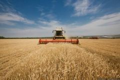 Засуха в Україні підніме ціни на хліб