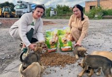 У Вінниці волонтери годують безпритульних тварин 