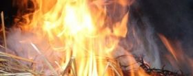 В селі на Вінниччині пожежа знищила 4 тонни сіна