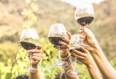 Масштабний WINETIME WINE FESTIVAL 24 серпня вразить Вінницю вау-програмою