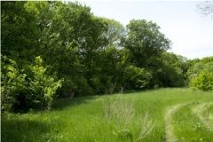 На Вінниччині прокуратура повернула державі понад 16 гектарів лісу