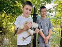 Турбота не тільки про місто, а й про природу