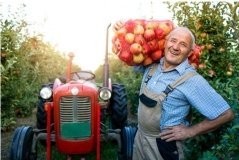 Фермери Вінниччини подали понад 2 тисячі заявок на держпідтримку: що дають і коли виплати