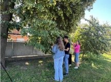 "Хочемо передати частинку рідного дому": школярі з Вінниччини заготовляють трав’яні чаї для захисників