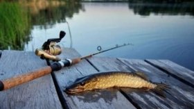 З 1 липня 2025 року на водоймах Вінниччини офіційно стартує рибальський сезон