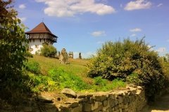 Заповідник «Буша» та заказник «Гора Лисківка» збережено: суд став на бік природи та історії