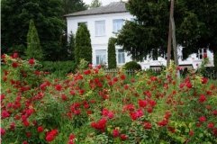 Суд закрив справу про булінг у Моївському ліцеї: порушення не встановлено