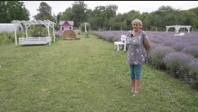 «Зріж букет — підтримай героя»: на Вінниччині збирають кошти на лікування пораненого військового