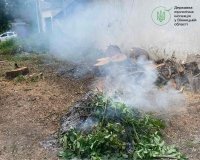 У межах екологічного контролю Державна екологічна інспекція у Вінницькій області зафіксувала факт самовільного випалювання залишків рослинності на території одного з дошкільних закладів, що належить до Ободівської територіальної громади.  Під час перевірк