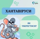 Хантавірусні інфекції: як захиститися від небезпечного вірусу