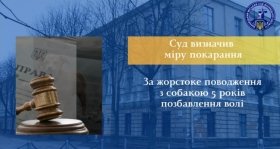 У Вінниці чоловіка засудили до 5 років за жорстоке поводження з собакою