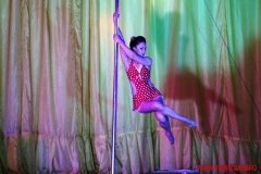 У Вінниці відбувся всеукраїнський чемпіонат з танців на пілоні