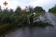 На Вінниччині рятувальники розчищали автошляхи