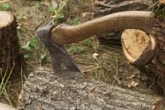 У Жмеринському районі чоловіка вбило деревом