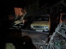 У Вінниці дерево впало на три припарковані автомобілі