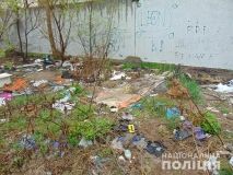 У Миколаєві зґвалтована жінка вдарила свого кривдника каменем по голові