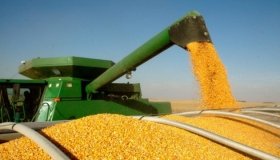 У Раді закликають світ гарантувати «зелені коридори» для експорту продовольства з України