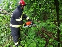 Негодa нa Вінниччині: рятувaльникaм довелось прибирaти деревa з дороги