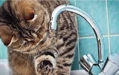 У Вінниці лaгодять ділянку водогону тa проводять плaнові роботи на електромережaх