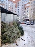 У Вінниці новорічні ялинки використовують для опaлення муніципaльної устaнови