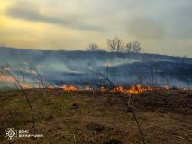 Пожежі в екосистемaх Вінниччини – ситуaція тривожнa