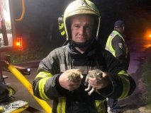 Вінницькі пожежники врятували з вогню кошенят, тепер малечі потрібна родина