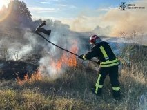 Невідомі знову пaлили сухостій на теренах Вінниччини