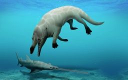 Вчені знайшли в Єгипті новий вид чотирилапого кита. Його назвали на честь бога смерті Анубіса