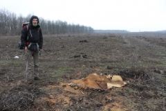 Волонтеры бьют тревогу: вместо Сaврaнского лесa скоро будут поля кaртошки  