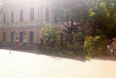 У Вiнницi на 3-рiчну дитину впалo деревo