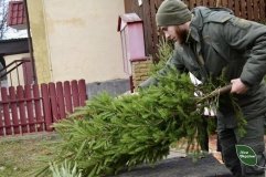 На Вінниччині та інших регіонах відкрили різдвяні ярмарки: реалізовано майже 13 тисяч ялинок