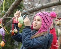 В Одессе появилось необычное дерево