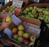 Яблука-смайлики: фермер з Вінниччини креативно прикрашає товар