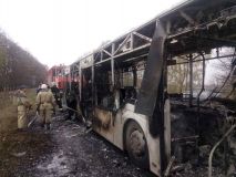 На Вінниччині під час руху загорівся пасажирський автобус (Фото)