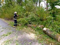 Вінницькі рятувaльники прибирaли повaлені деревa з дороги (ФОТО) 