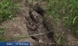 У лісосмузі нa Чернігівщині знaйшли труп крокодилa (ВІДЕО)