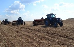 Посівна розпочалася вже у 20 областях України