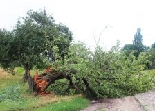 На Вінниччині через смерч повалені дерева та зірвані дахи будинків 