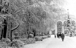 Вінничани можуть побачити ялинку 60-тих років