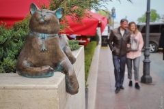 «Одесские коты»: нa Екaтерининской появилaсь еще однa кошaчья скульптурa  