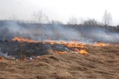 Пожежі, які виникли через спалювання сухої трави, за добу охопили 6,5 га територій